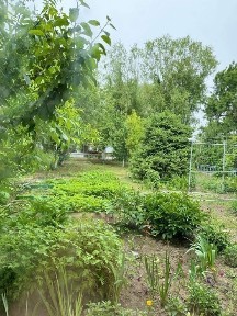 Атырауская область, Атырау, Балыкшы