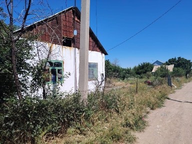 Туркестанская область, Шымкент, Туран