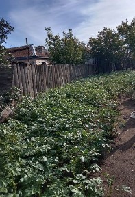 Акмолинская область, Кокшетау, Привокзальный (Акку)