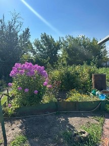 Алматинская область, Текели