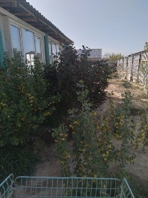 Продам дом 6 соток