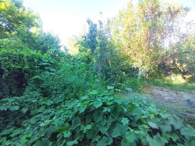 Дом за линией, район Онерпаза