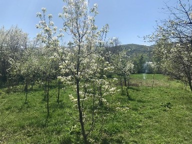 Алматинская область, Есик