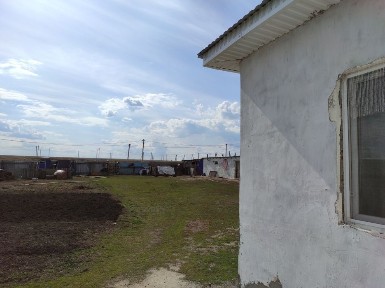 Уй сатылады Родниковка ауылында