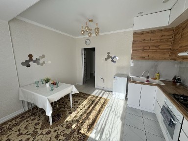 2-х комнатная квартира в центре (Айгерим, Дентко)