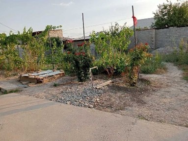 Туркестанская область, Шымкент, Туран