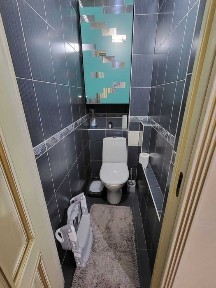 Акмолинская область, Астана, Алматинский район