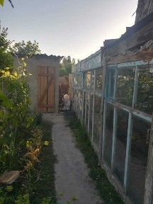 Продаются два дома в одном дворе 16 соток