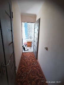 Жамбылская область, Болтирик шешен