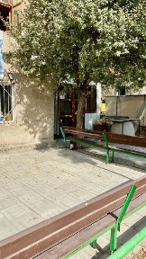 Туркестанская область, Шымкент, Туран