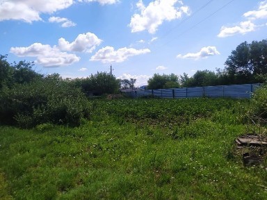 Продам 4 комн. дом с. Боровское