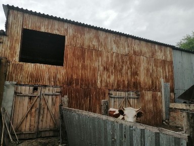 Восточно-Казахстанская область, Семей