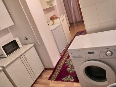 Возьму 2 девушек в квартиру