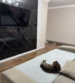 Акмолинская область, Степногорск