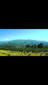 Турген участок