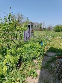 Дача 8 соток (кирпич)