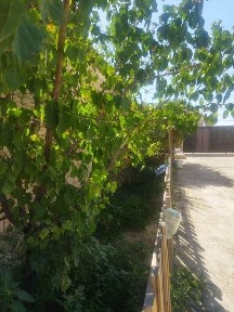 Мангистауская область, Актау, 1