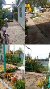 продам дом в жилянке