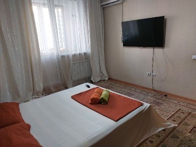 Квартира посуточно на Толе би Момышулы