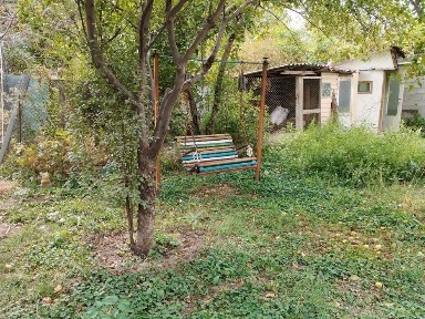 Алматинская область, Туздыбастау