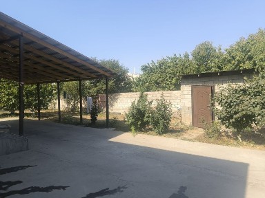 Туркестанская область, Сауран