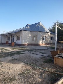 Туркестанская область, Бадам