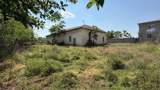 Микоянда сентрде