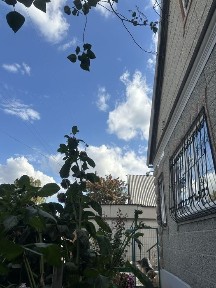 Продам отдельностоящий дом на лучшей улице Новой Тихоновки