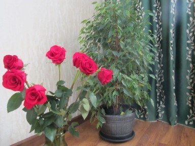 Алматинская область, Алматы, Алмалинский район