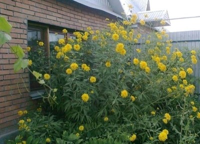 Западно-Казахстанская область, Уральск, Остановка Кирова (3-я поликлиника)