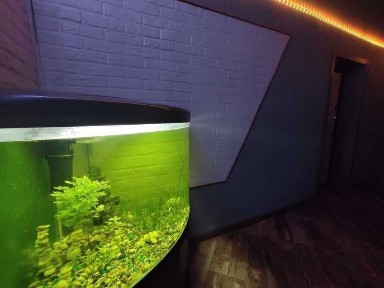 Сдам двух комнатную квартиру, 1 поликлиника