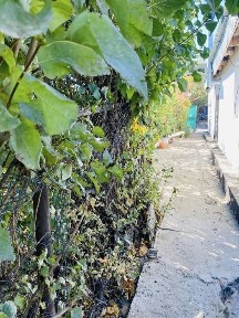 Актюбинская область, Хромтау