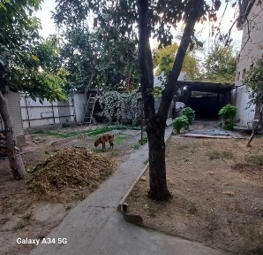 Туркестанская область, Шымкент, Аль-Фарабийский район