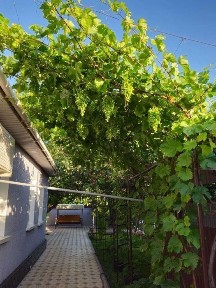 Туркестанская область, Жолбарыса Калшораева