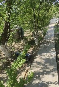 Кызылординская область, им. Жанкожа батыра