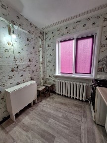 Северо-Казахстанская область, Петропавловск