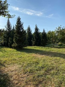 Сдаётся коттедж посуточно