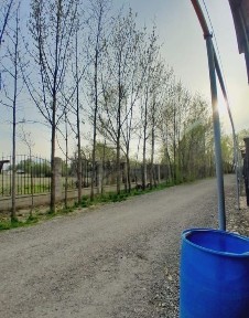 Срочно! Сдается в аренду!