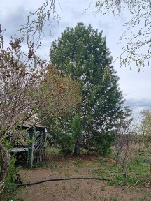 Продам дом в Ростовке