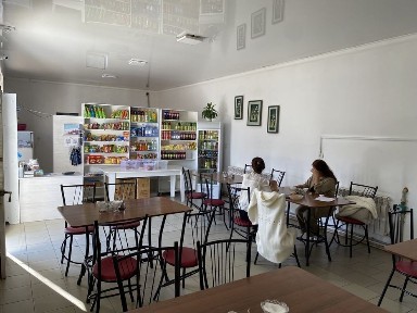 Продам дом со зданием для бизнеса