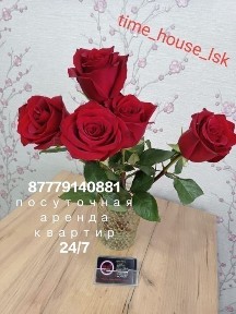 Костанайская область, Лисаковск