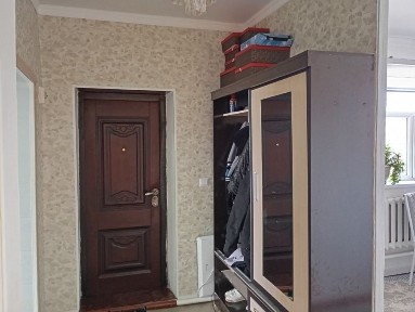 Кызылординская область, Алмалы