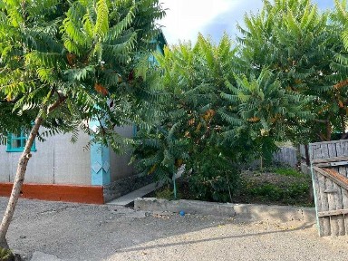 Алматинская область, Карабулак