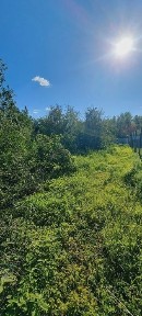 Западно-Казахстанская область, Уральск, Айгуль