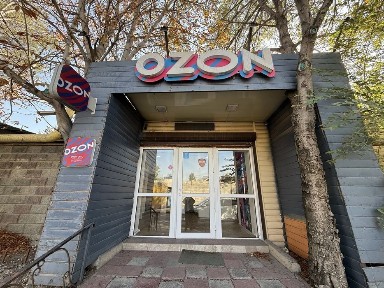 Ozon, WB, TEMU, Jana post