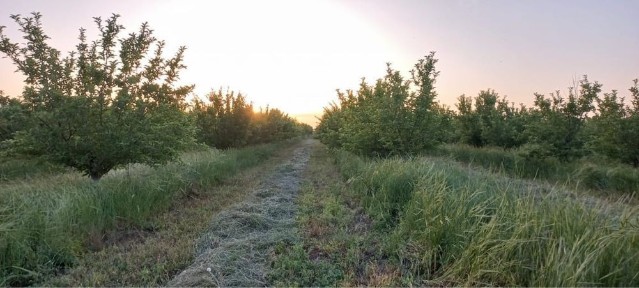 Ищем квартирантов