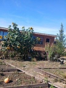 Акмолинская область, Астана, Алматинский район