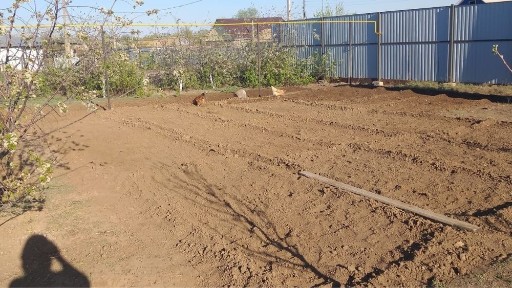 Западно-Казахстанская область, Уральск, 2-й рабочий