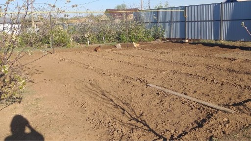 Западно-Казахстанская область, Уральск, 2-й рабочий