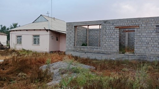 Уй сатылады, касында жаңадан көтерілген екінші уй бар.